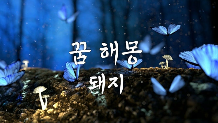  꿈 해몽 돼지꿈 돼지가 들어오는 꿈 돼지에게 물리는 꿈 검은 돼지꿈