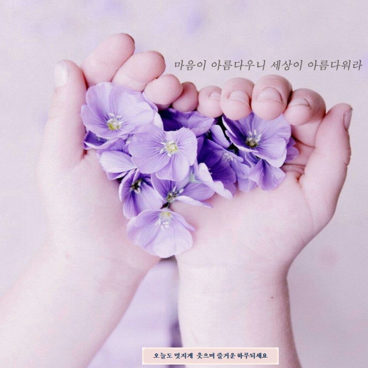  해운대 재송동 상가주택매매 투자최적지