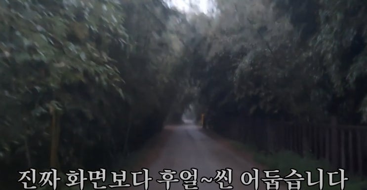  대나무숲이 아닌 어둠속의로 들어가는것 같은 느낌