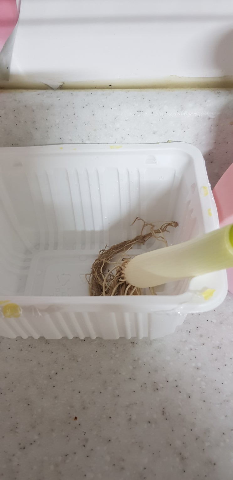  6월 9일 아침에 한 일