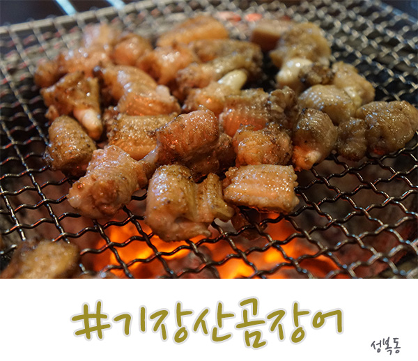  성복동 맛집 다양한 먹거리가 있는 기장산곰장어