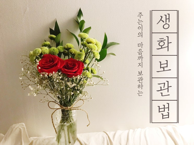 생화보관법, 주는사람의 마음까지도 보관하세요 생화보관법, 주는사람의 마음까지도 보관하세요