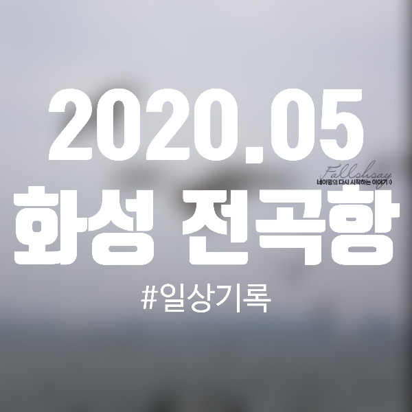 2020.05 가정의달 마무리는 [화성 전곡항] 즐기기!