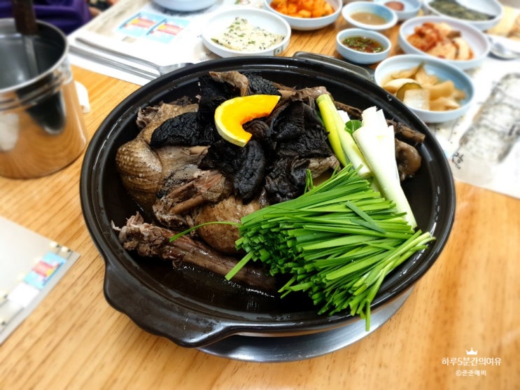  충남 서산 맛집 나능이능이버섯백숙. 닭백숙과 오리백숙 원기회복하고 갑니다.