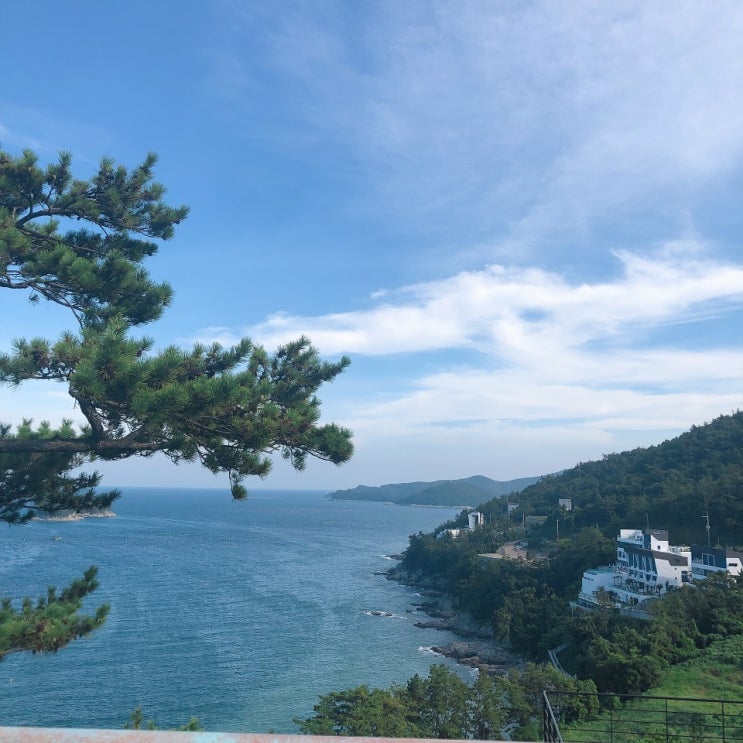  다녀왔던 여수여행(두꺼비게장,여수예술랜드,미디어아트 조각공원,빅오쇼,하멜등대,돌문어상회)