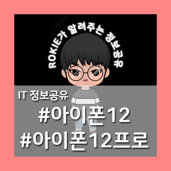  [IT정보공유] 아이폰12 & 아이폰12프로