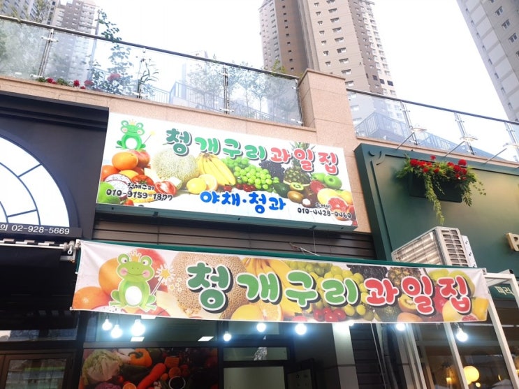  광교 호수공원 명소 청개구리 과일집
