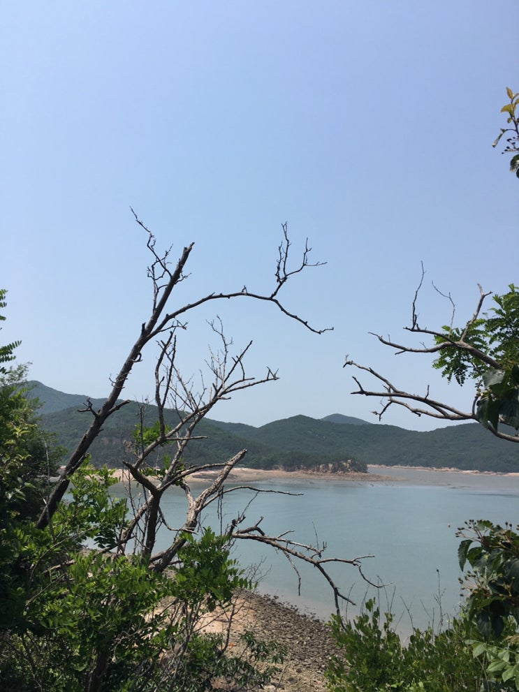  인천 무의도 탐방기