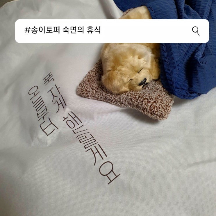  1인 가구, 1인 침대에 좋은 송이 토퍼 침대형