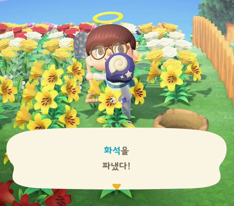 모여봐요 동물의 숲 모동숲 화석 종류, 가격 / 박물관 전시하기 공략 : 네이버 블로그