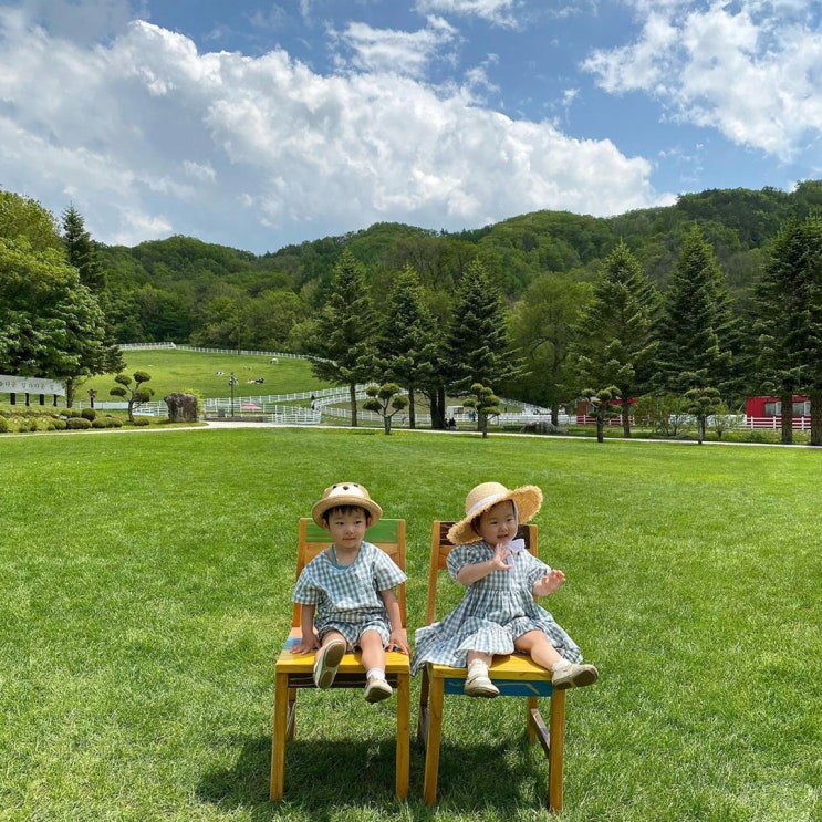 [강릉 가볼만한곳] 나만 알고 싶은 강릉 여행지, 대관령 하늘목장부터 숙소까지