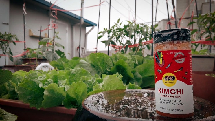  미국에서 난리가 났다는 김치시즈닝 Kimchi Seasoning 우리나라에선 못 구해요.