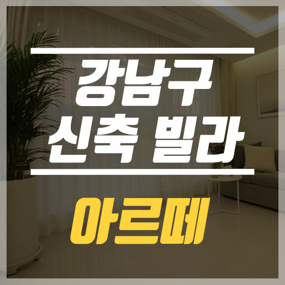  강남구 신축빌라 더블 역세권 호재 가득 한 현장