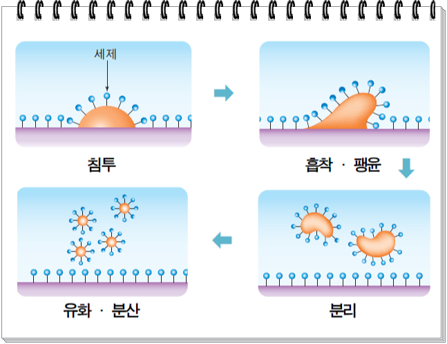 세제없이 세척이 잘 되는 업소용초음파식기세척기