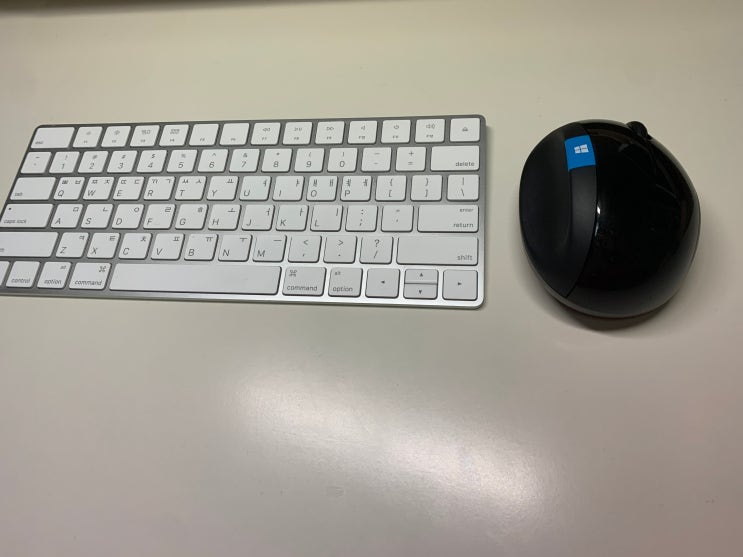  마이크로소프트 스컬프트 어고노믹 마우스 ( Sculpt Ergonomic Mouse)  + 인체공학마우스 손목보호 사용감최고