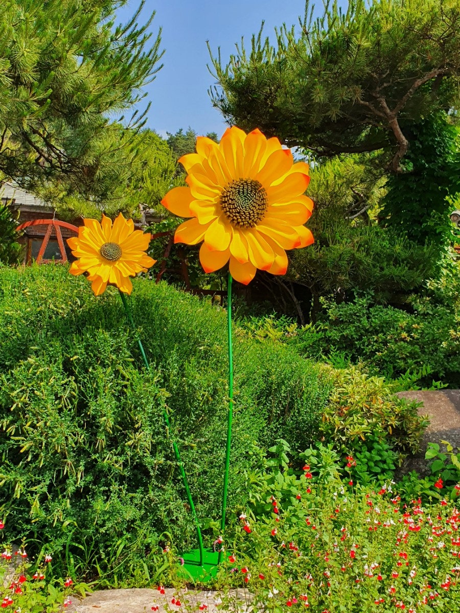 엘커피 사진 1
