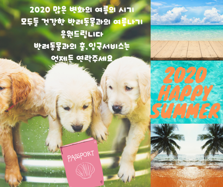  베트남하노이 강아지해외운송  고양이검역 해외출국서류 호텔링 [코로나입국금지전]