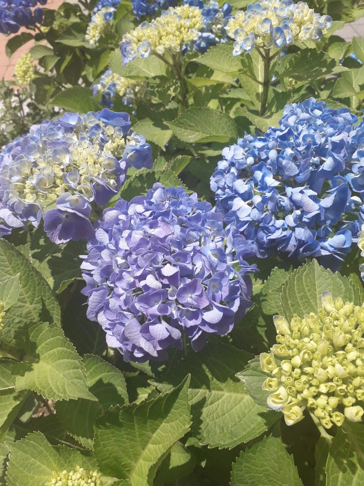  의료사고, 의료분쟁 발생 시 대처 방법