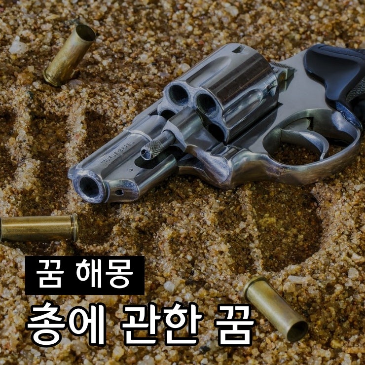 총 쏘는꿈 해몽 총정리 / 맞는꿈, 기관총, 죽이는꿈