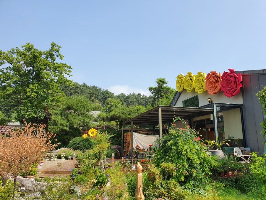 엘커피 사진 4