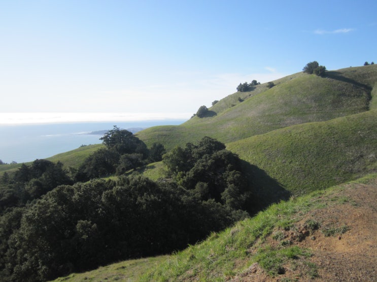  San Francisco 근처 여행 1 | Mt. Tamalpais