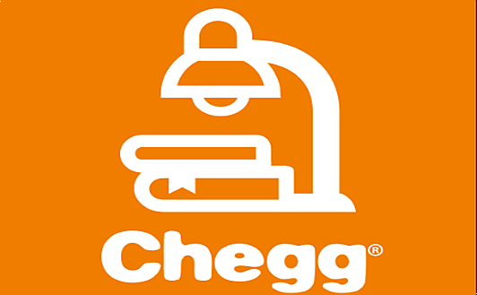  [미국선 할 수 있다] 체그 (Chegg/CHGG-US) 코로나 팬데믹 원격 수업 수혜주