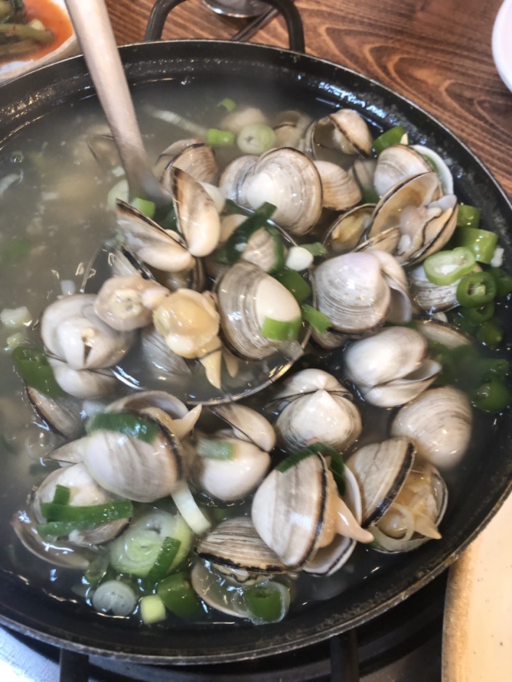  대전 둔산동 칼국수 쭈꾸미 맛집 묵은정 칼국수