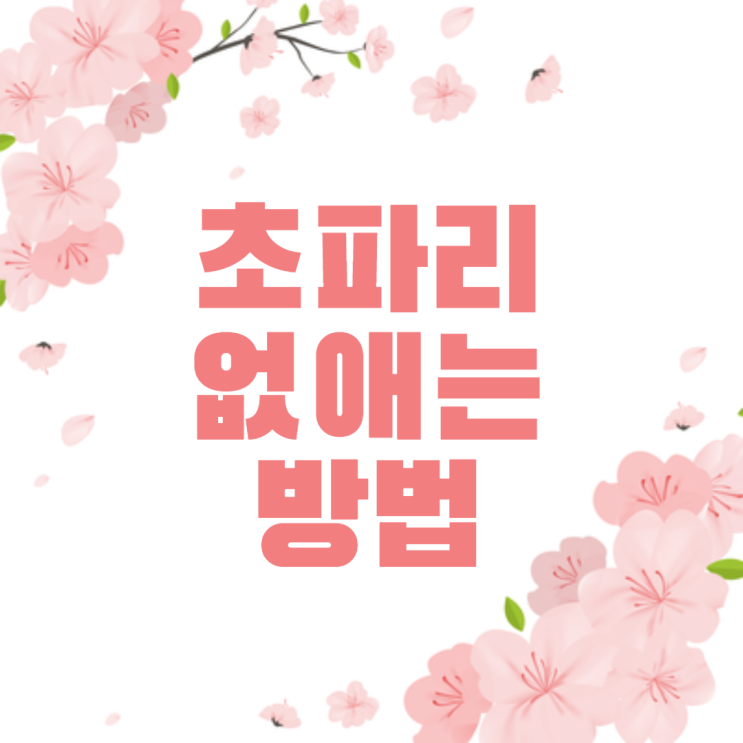  초파리퇴치 트랩설치해도 안될땐 이 방법으로!