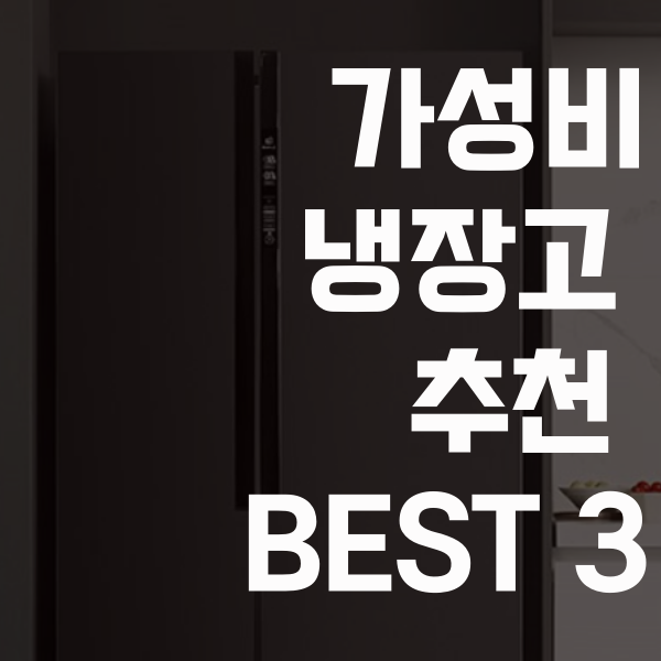  2020년 가성비 양문형 냉장고 BEST3