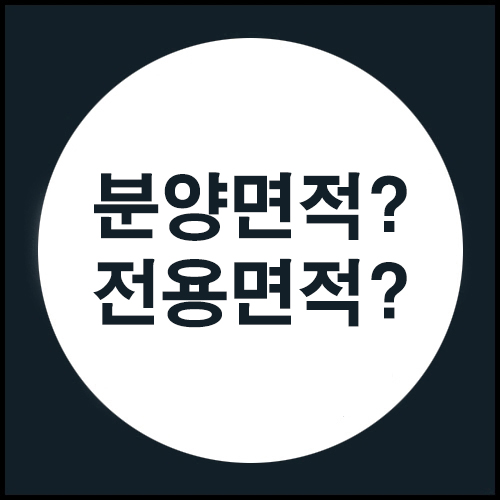  분양면적? 전용면적?