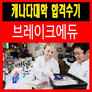 캐나다유학 BUPP 8기 한양대학교다니다 토론토대학교 Life Science 합격수기