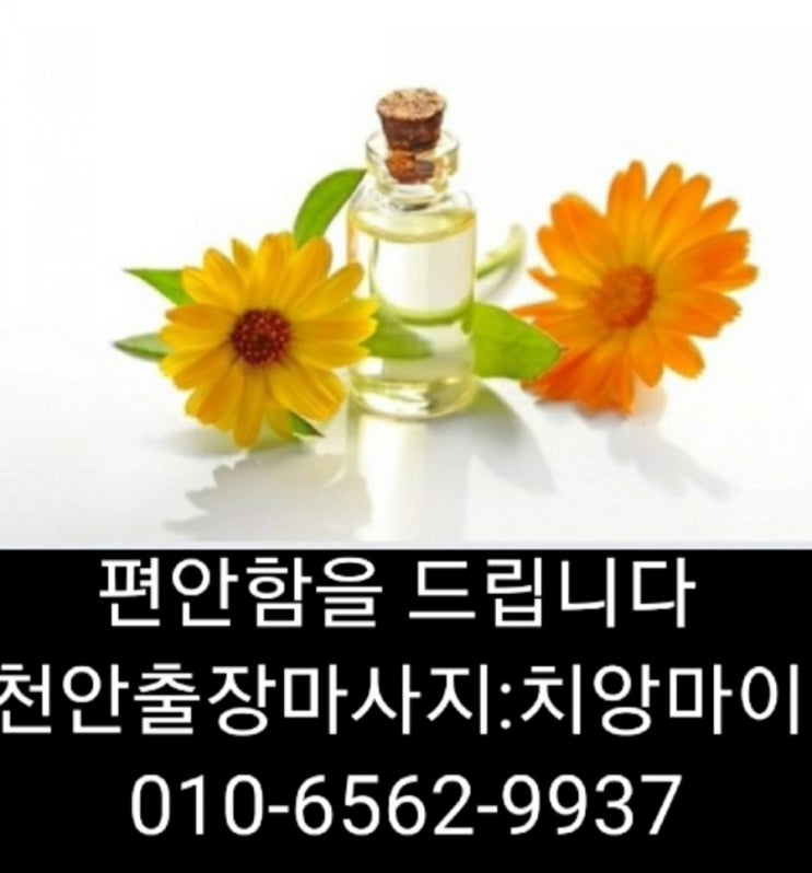  천안 출장마사지(신뢰) 천안 출장 안마(사랑) 천안 출장 타이마사지(믿음)치앙마이(최선)