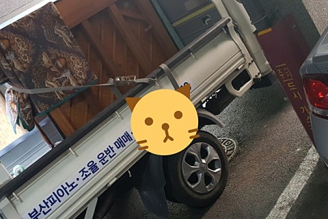 강진상회 이미지