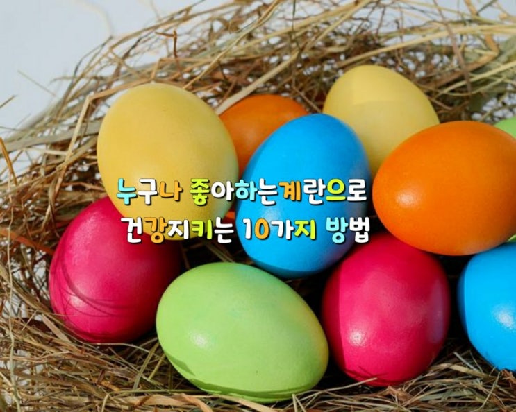 누구나 좋아하는계란으로 건강지키는 10가지 방법으로 ~ 누구나 좋아하는계란으로 건강지키는 10가지 방법으로 ~