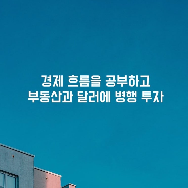  부동산과 달러에 병행 투자하자!(부의공식 이지윤 강의후기)