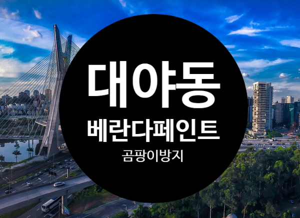  대야동 베란다곰팡이방지페인트, 현관타일 시공완료!