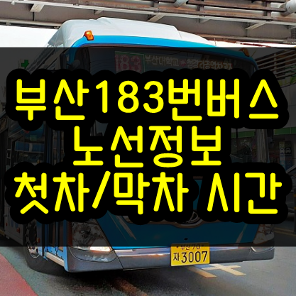 부산 183번 버스 노선 정보와 첫차, 막차 시간은?