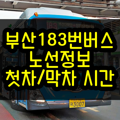  부산 183번 버스 노선 정보와 첫차, 막차 시간은?