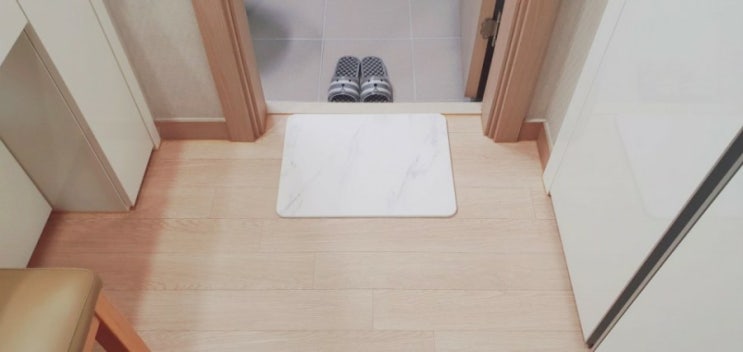  아이키우는 집에서필수인 미끄럼방지매트 규조토발매트