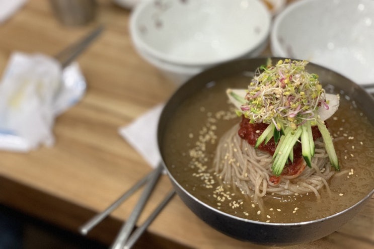  [맛집소개] 동탄에 있는 메밀 요리의 강자! 진미면막국수 소개 물막국수는 물론 수제비까지 메밀 요리의 모든 것 (동탄 맛집 / 노작 공원 맛집)