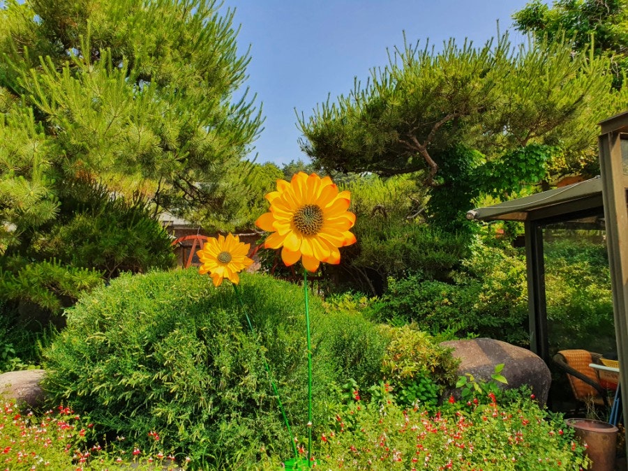 엘커피 사진 2