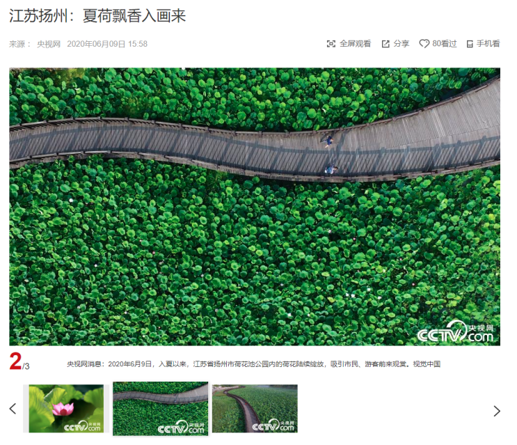 "중국 장쑤성 양저우시 여름 연꽃 연못" CCTV HSK 생활 중국어 신문 기사 뉴스 공부