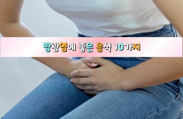 방광염에 좋은 음식 10가지 방광염에 좋은 음식 10가지