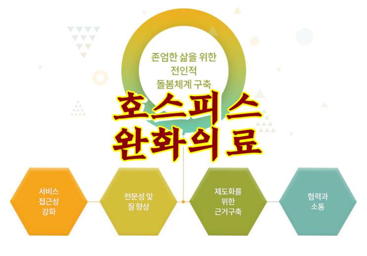  가정형/자문형 호스피스 완화의료 대상, 뜻