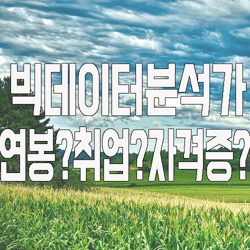  빅데이터분석가 : 연봉 ? 자격증 ? 취업은 ? 정리해드립니다.