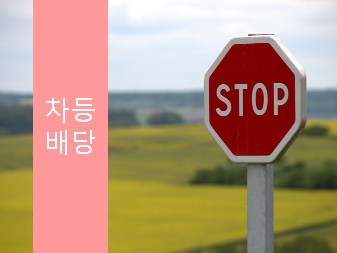 차등배당으로 4억 절세하는 꿀팁 대방출!!