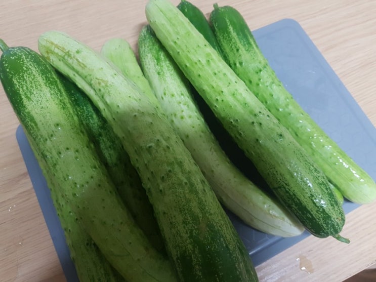  [오이10개] 오이소박이 45분만에 완성!