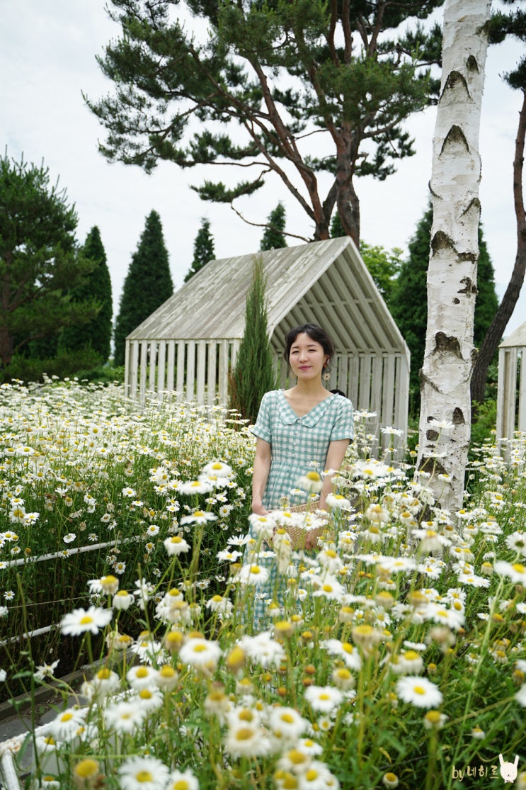 강화도 핫플 마호가니 카페 나도 드디어!