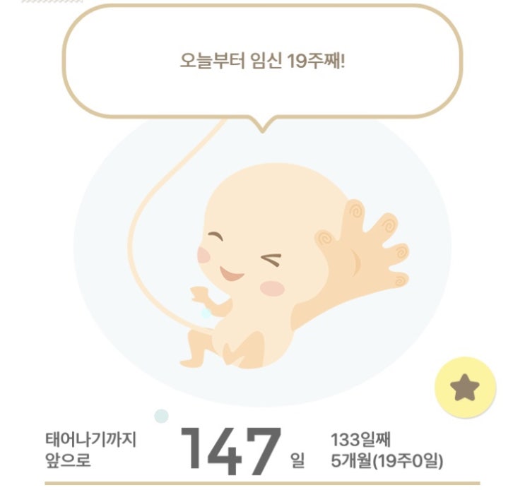  임신19주 증상