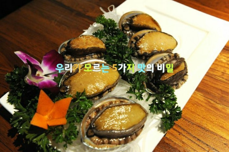 우리가 모르는 5가지 맛의 비밀(신맛,쓴맛,단맛,매운맛,짠맛) 우리가 모르는 5가지 맛의 비밀(신맛,쓴맛,단맛,매운맛,짠맛)